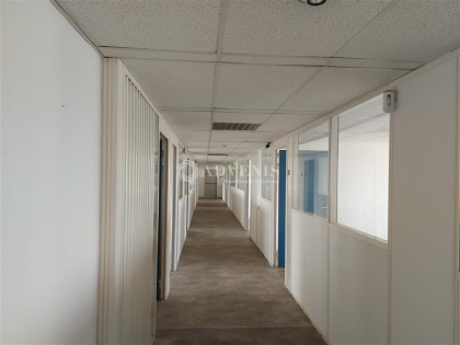 Advenis RES - Immobilier d'entreprises