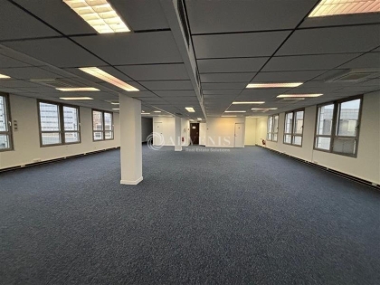 Advenis RES - Immobilier d'entreprises