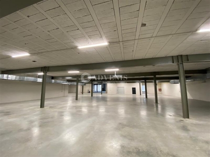 Advenis RES - Immobilier d'entreprises