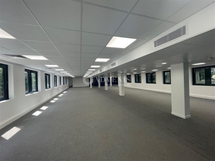 Advenis RES - Immobilier d'entreprises