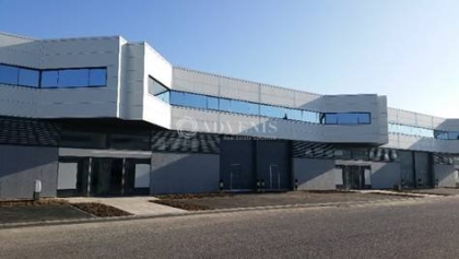 Advenis RES - Immobilier d'entreprises