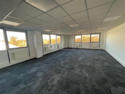 Advenis RES - Immobilier d'entreprises