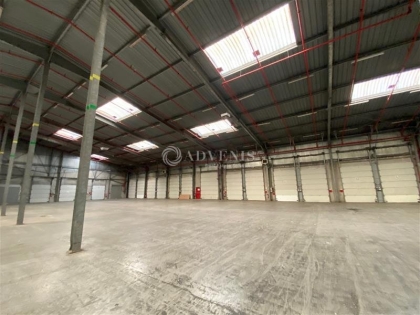 Advenis RES - Immobilier d'entreprises