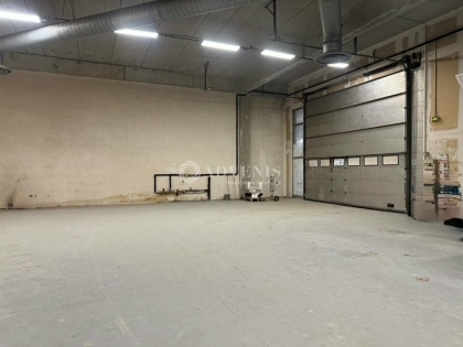 Advenis RES - Immobilier d'entreprises