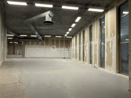 Advenis RES - Immobilier d'entreprises