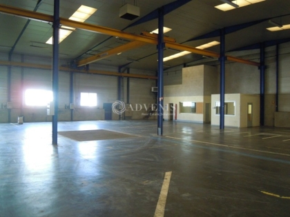 Advenis RES - Immobilier d'entreprises