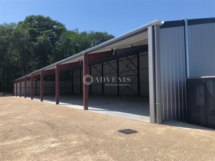 Advenis RES - Immobilier d'entreprises