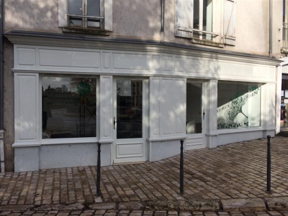 Advenis RES - Immobilier d'entreprises