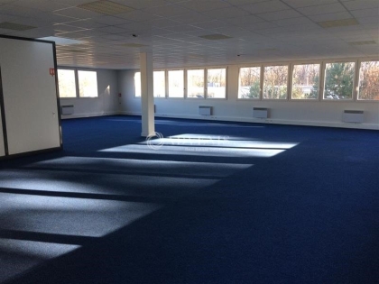 Advenis RES - Immobilier d'entreprises