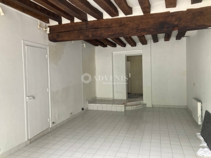 Advenis RES - Immobilier d'entreprises