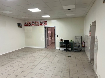 Advenis RES - Immobilier d'entreprises