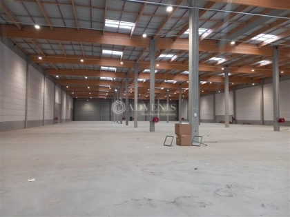Advenis RES - Immobilier d'entreprises