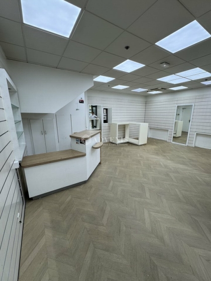 Advenis RES - Immobilier d'entreprises
