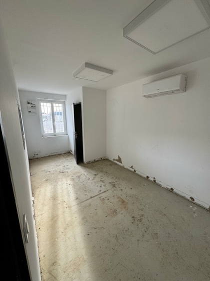 Advenis RES - Immobilier d'entreprises