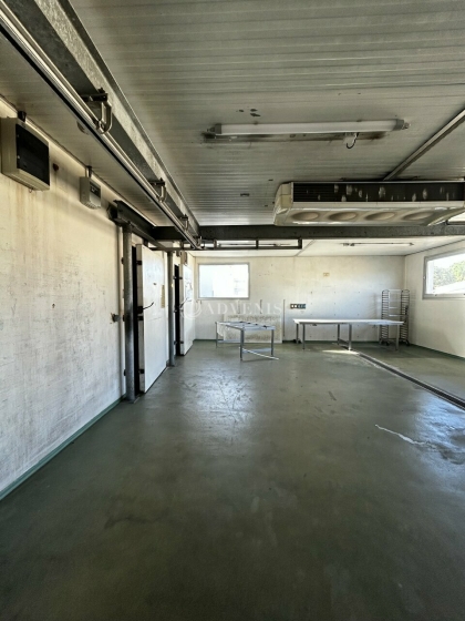 Advenis RES - Immobilier d'entreprises