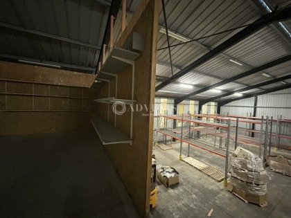 Advenis RES - Immobilier d'entreprises