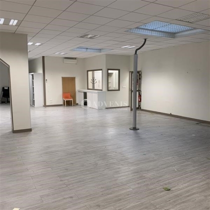 Advenis RES - Immobilier d'entreprises