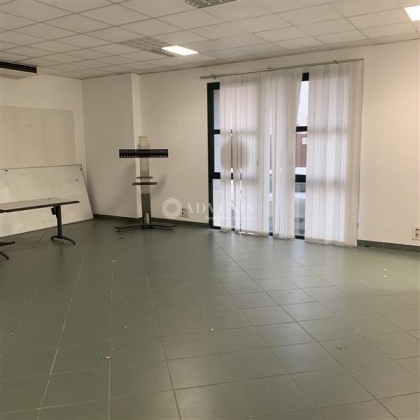 Advenis RES - Immobilier d'entreprises