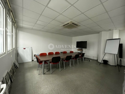 Advenis RES - Immobilier d'entreprises