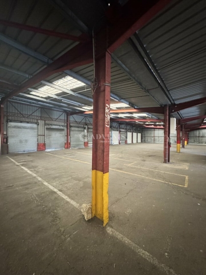 Advenis RES - Immobilier d'entreprises