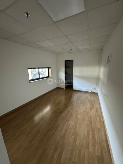 Advenis RES - Immobilier d'entreprises