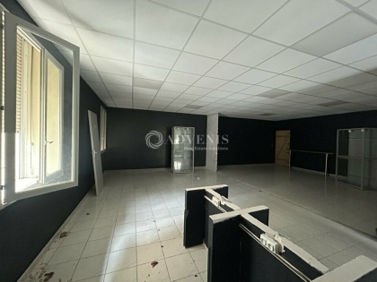 Advenis RES - Immobilier d'entreprises