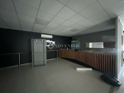 Advenis RES - Immobilier d'entreprises