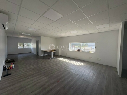 Advenis RES - Immobilier d'entreprises
