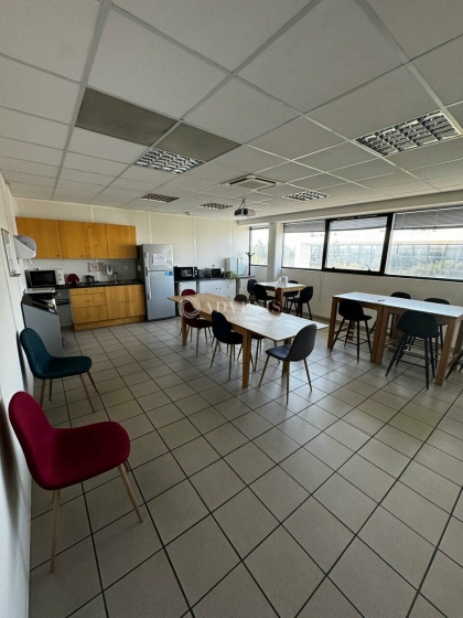 Advenis RES - Immobilier d'entreprises
