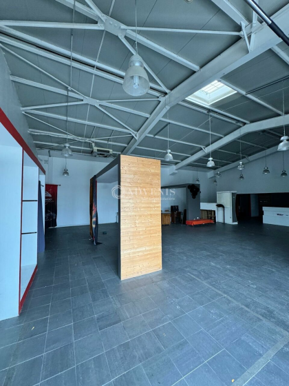 Advenis RES - Immobilier d'entreprises