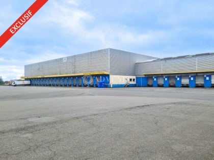 Advenis RES - Immobilier d'entreprises