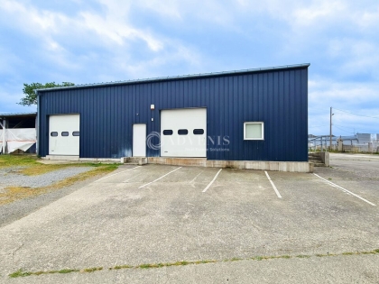Advenis RES - Immobilier d'entreprises
