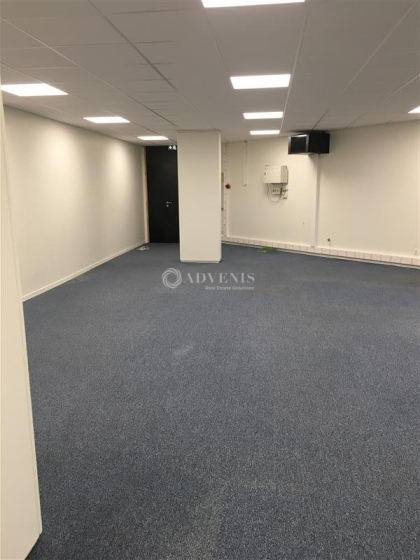 Advenis RES - Immobilier d'entreprises