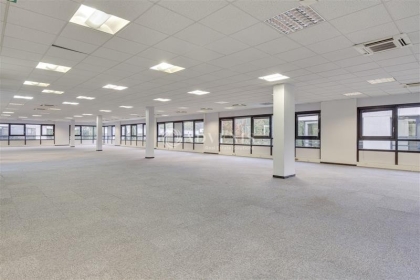 Advenis RES - Immobilier d'entreprises
