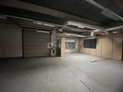 Advenis RES - Immobilier d'entreprises