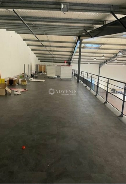 Advenis RES - Immobilier d'entreprises