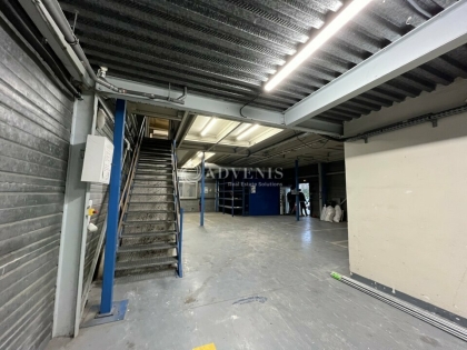 Advenis RES - Immobilier d'entreprises